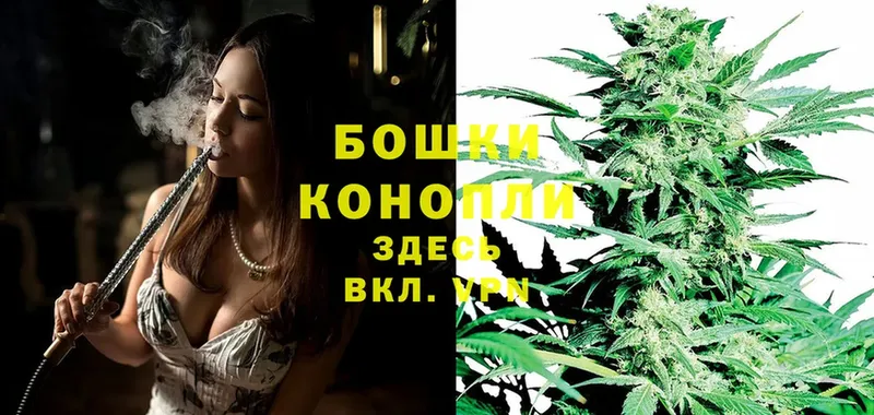 Бошки Шишки OG Kush  Дегтярск 